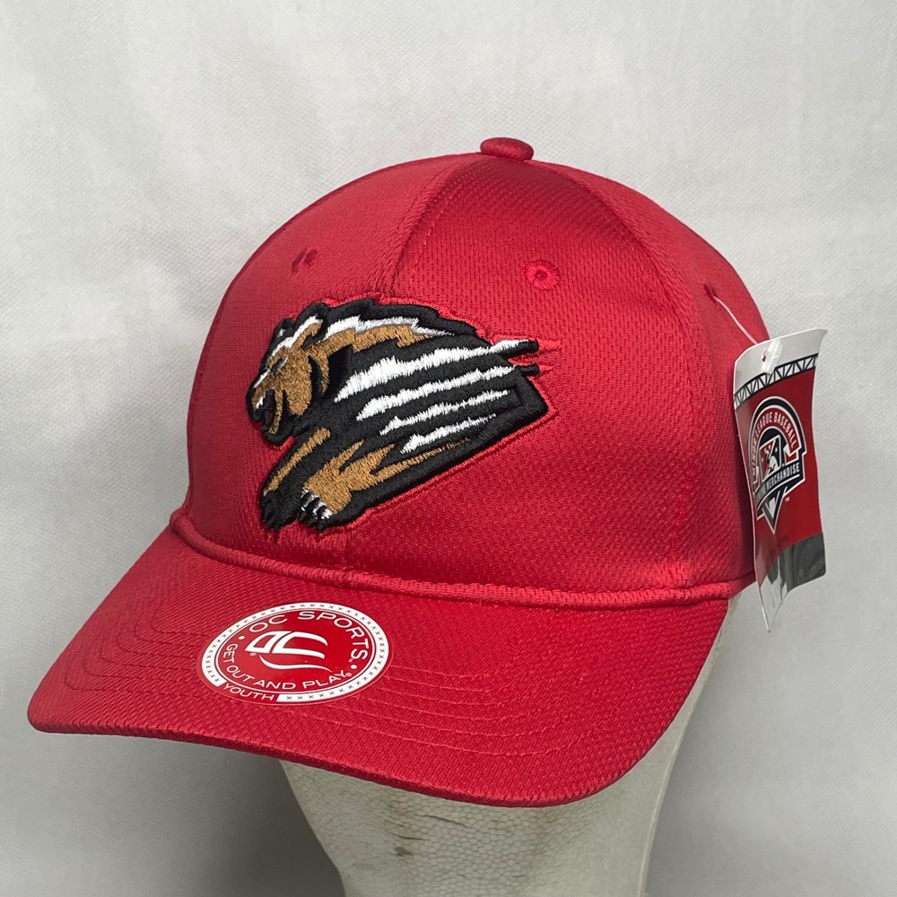 Fresno Grizzlies Genuine Minor League Baseball Cap Youth Adjustable Sports Hat